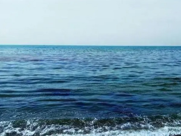 日本核廢水將排海-影響何以估量？